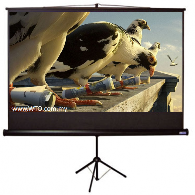 Tripod Matte White Screen 84" x 84"