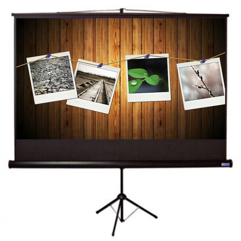 Tripod Matte White Screen 96" x 96"