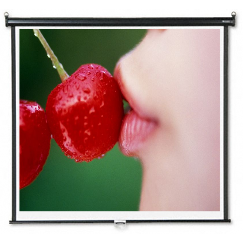 Wall Matte White Screen 70" x 70"